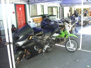 IMGP4801.JPG