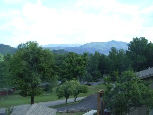 IMGP4840.JPG