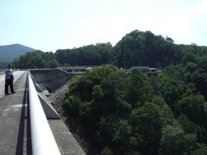 IMGP4855.JPG