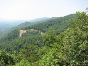 IMG_0144.JPG