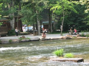 IMG_0158.JPG