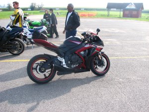 IMG_3950.JPG