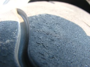 IMG_3961.JPG