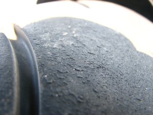 IMG_3962.JPG