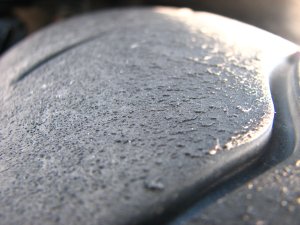 IMG_3964.JPG