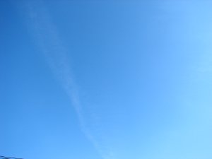 IMG_3985.JPG