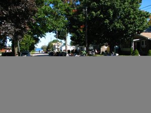 IMG_4000.JPG