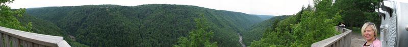 blackwater_falls_lookout.jpg