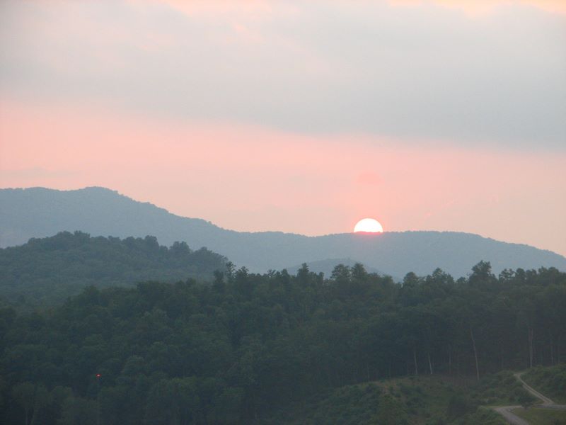 img_8390.jpg