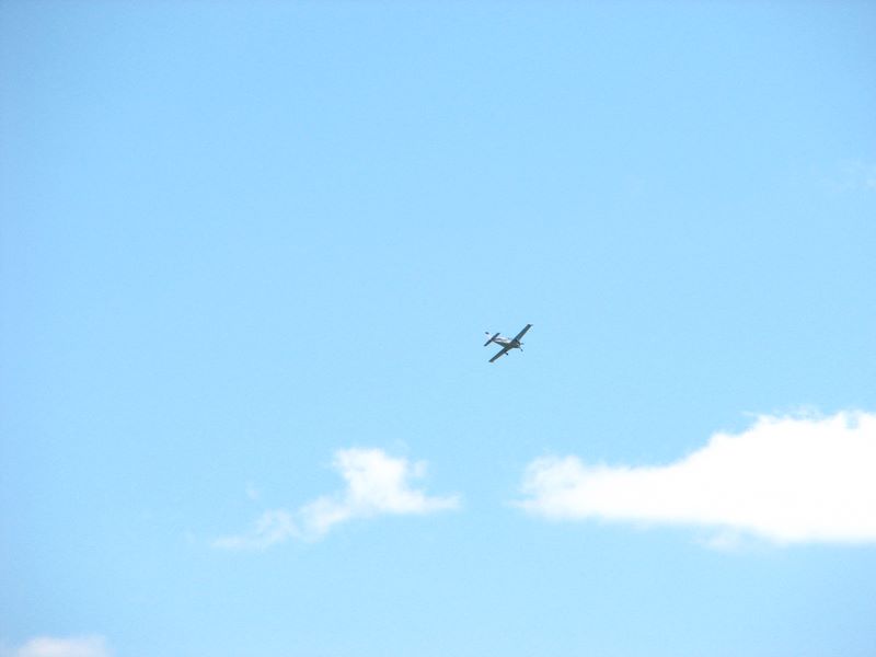 img_8467.jpg
