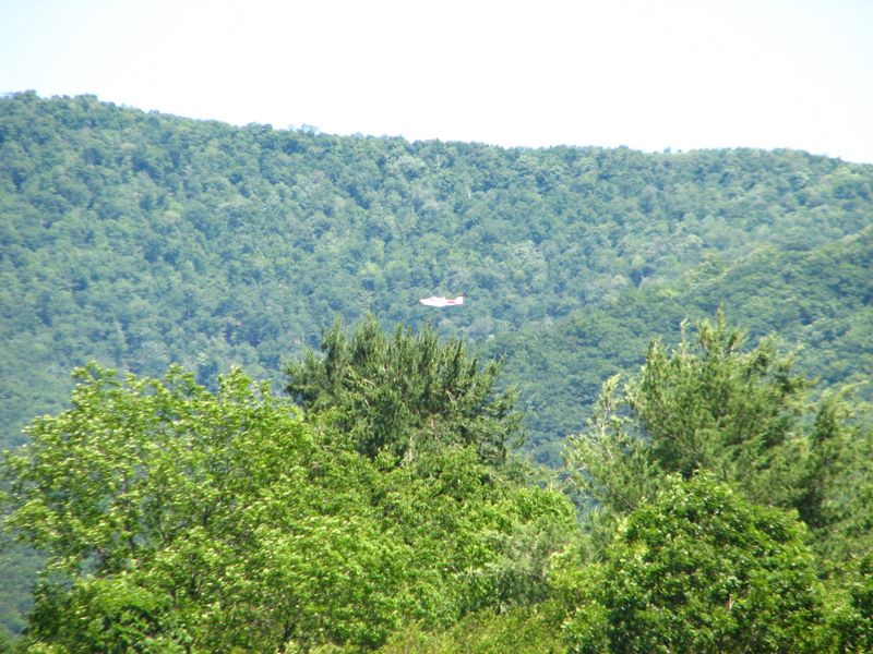 img_8528.jpg