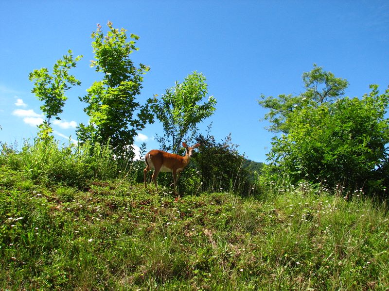 img_8559.jpg