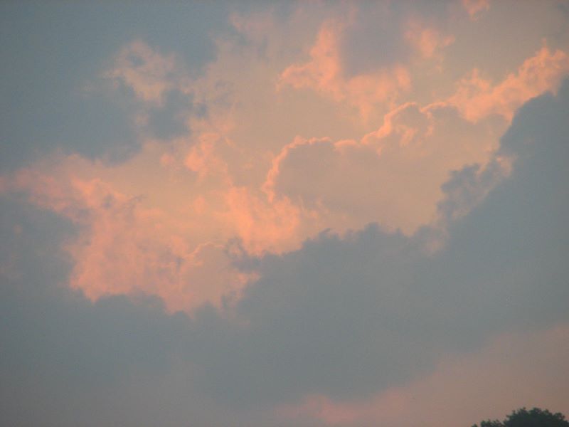 img_8738.jpg