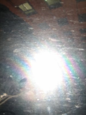 IMG_1223.JPG
