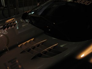 IMG_1306.JPG