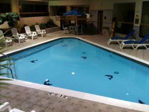 img_0069.jpg