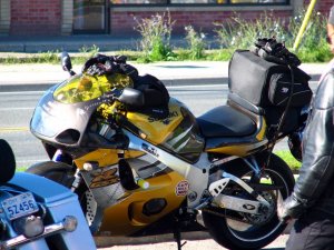img_7475.jpg