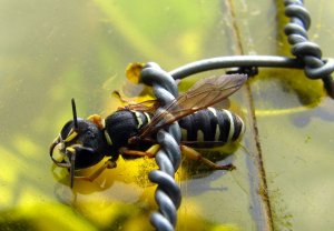 img_7637.jpg