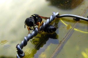 img_7640.jpg