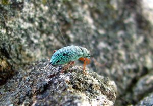 img_7685.jpg