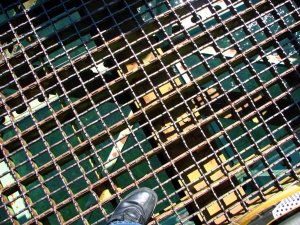 img_7994.jpg
