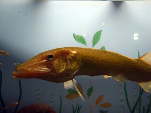 img_8037.jpg