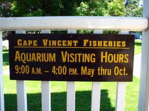 img_8058.jpg