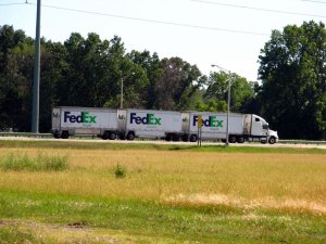 img_8174.jpg