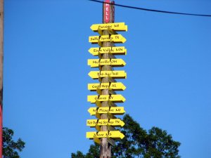 img_8182.jpg