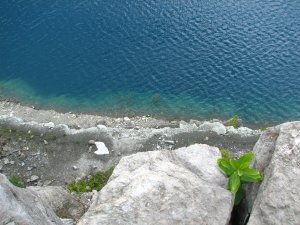 IMG_8688.JPG