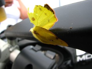 IMG_8726.JPG