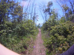 FILE0025.JPG
