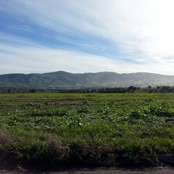 2014_03_07_09_08_22.jpg