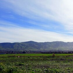 2014_03_07_09_08_26.jpg