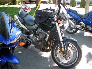 img_5100.jpg