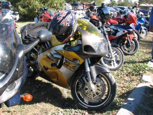 IMG_5178.JPG