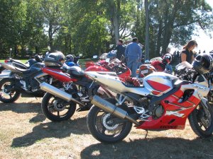 IMG_5181.JPG