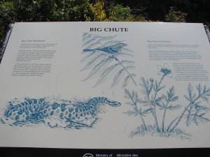 IMG_5226.JPG