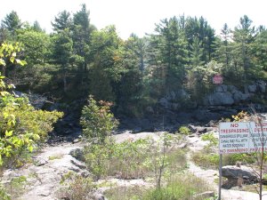 IMG_5229.JPG