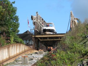 IMG_5238.JPG