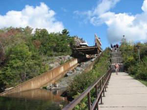 IMG_5242.JPG