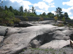 IMG_5247.JPG