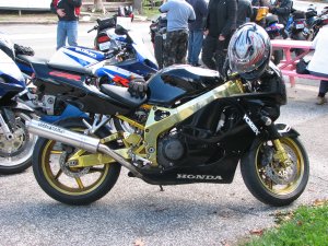 IMG_5267.JPG