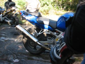 IMG_5291.JPG