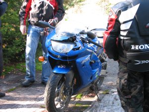 IMG_5294.JPG