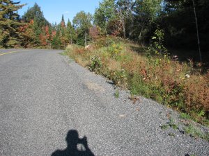 IMG_5304.JPG
