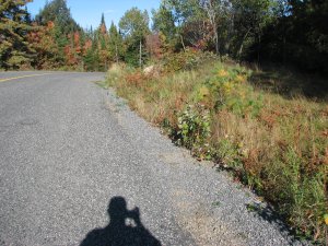 IMG_5305.JPG