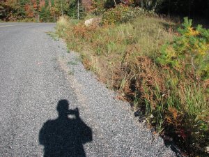 IMG_5306.JPG