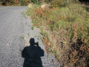 IMG_5307.JPG