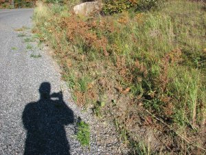 IMG_5308.JPG
